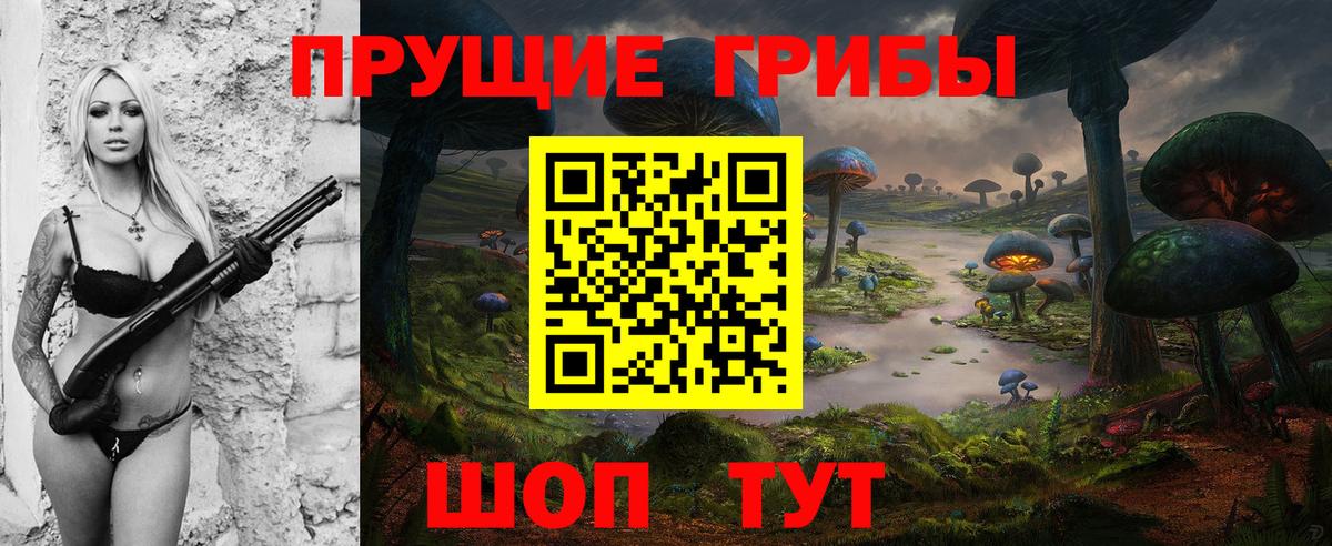 Псилоцибиновые грибы прущие грибы Тамбов